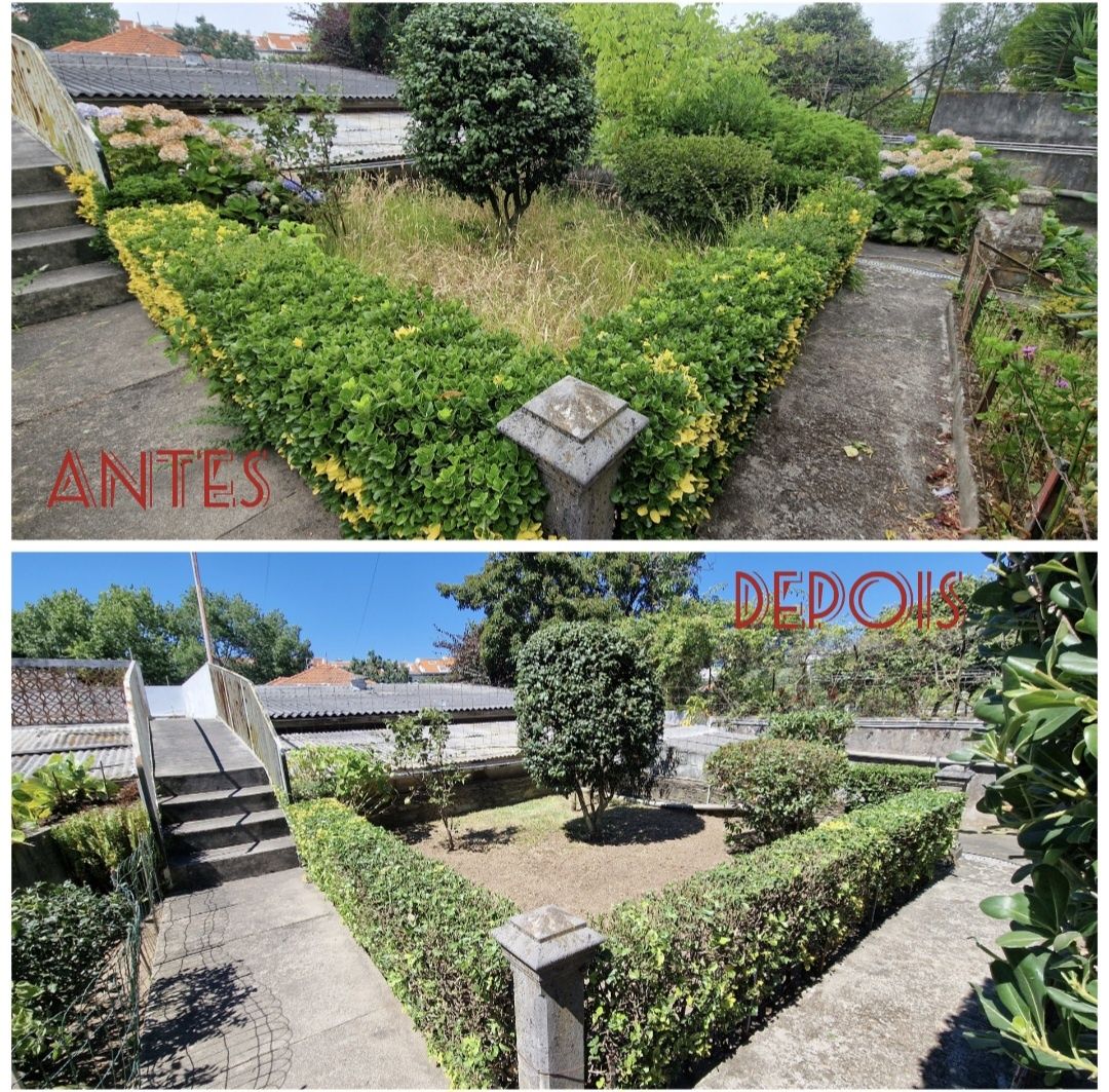 Serviços Jardinagem Ricardo Pinto