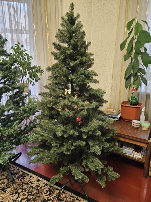 Ялинка на свята.  Вінниця