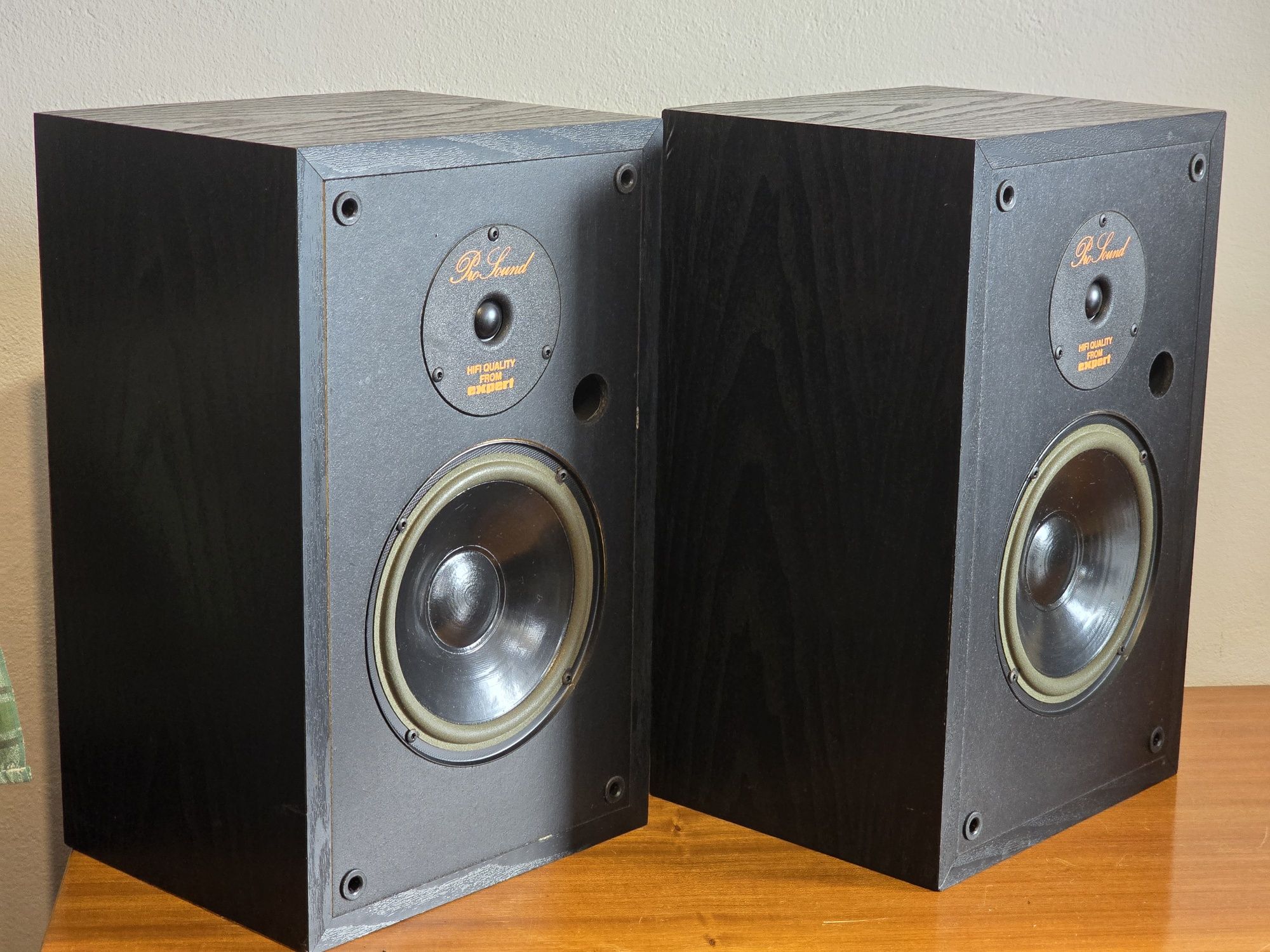 BNS PRO SOUND 1 kolumny Monitory VIFA d19 małe monitory
