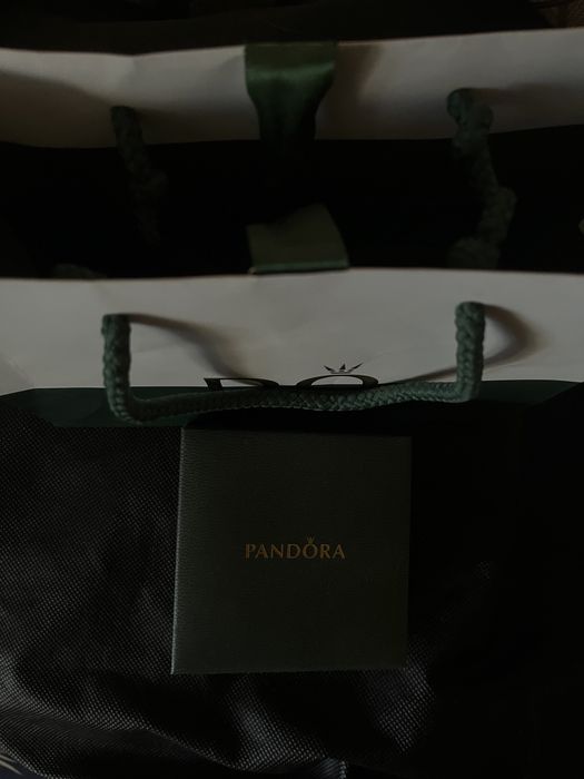 Оригінальний браслет Pandora