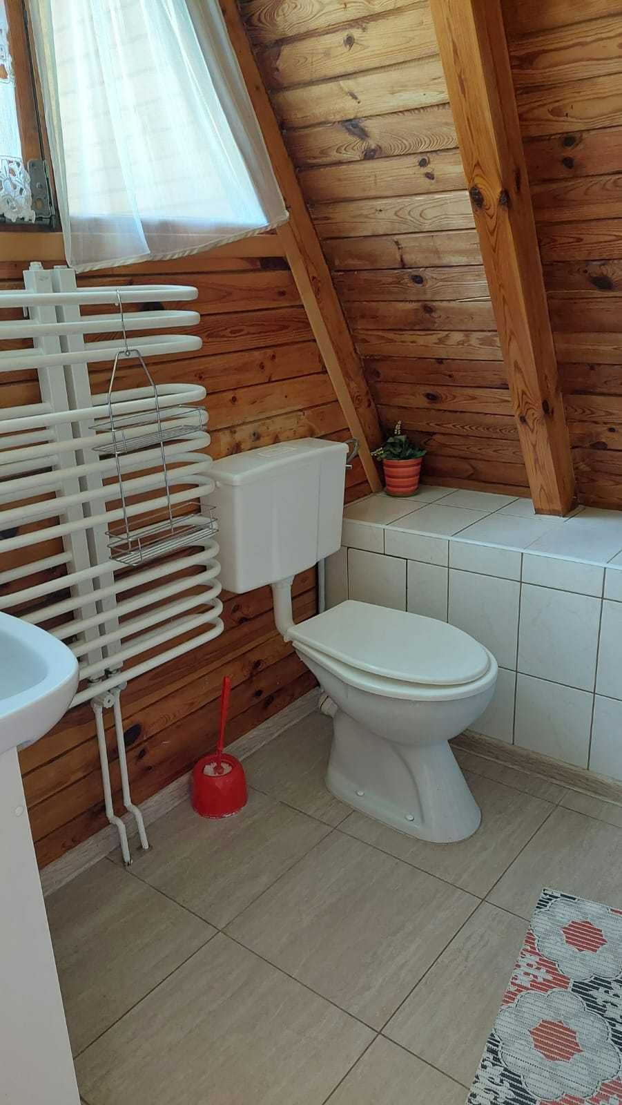 Domek na Polanie Pszczeliniec