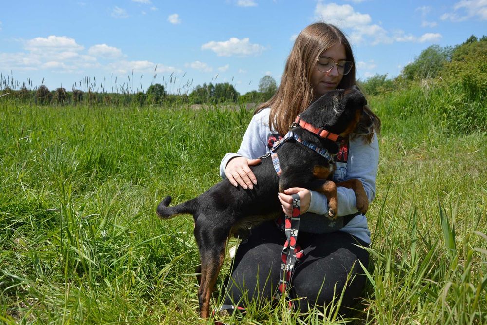 Uśmiechnięty Odi szuka domu ADOPCJA