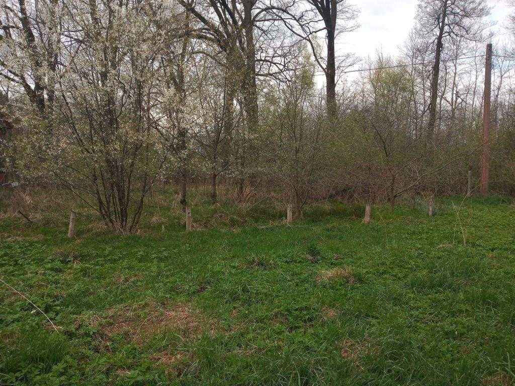 Kłobuck działka budowlana 1100m2 z budynkiem w lesie