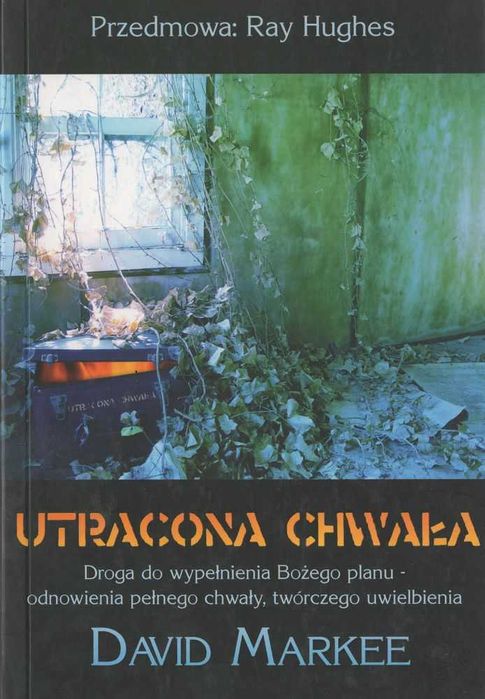 Utracona chwała - David Markee