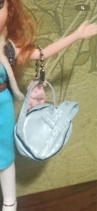 Bratz 2001 года из личной коллекции