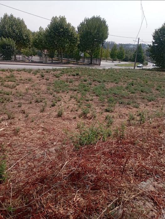 2 Terrenos em Cabanas de Viriato - Quinta do Fojo