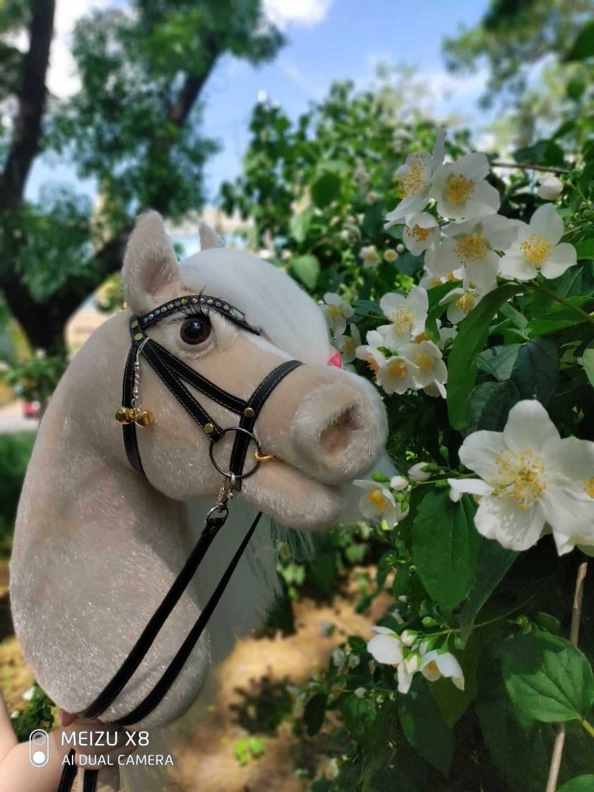 Hobby horse, piękna klacz (Playful horses - PFH)