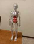 Boneco corpo humano