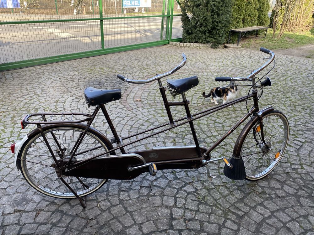 Gazelle tandem Holland