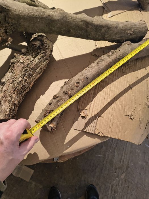 Patyki gryzaki 25 kg dla psa