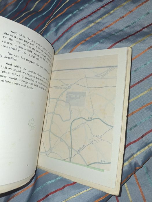 Gorongosa de Nuno Bermudes parque Moçambique