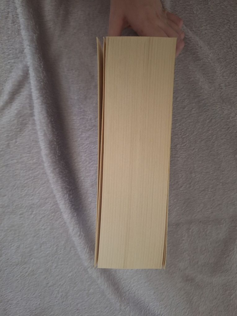Pani noc cassandra clare Mroczne intrygi książka młodzieżowa