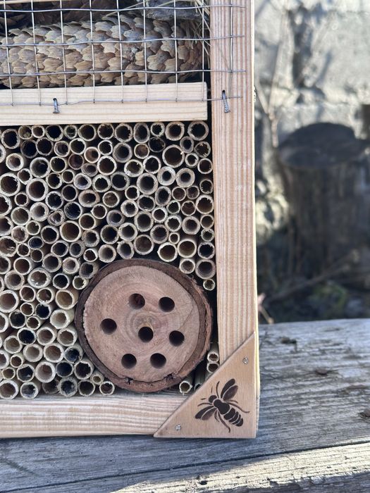 Будинок для комах