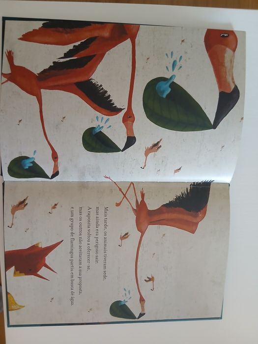 Depois da chuva- Plano Nacional de Leitura