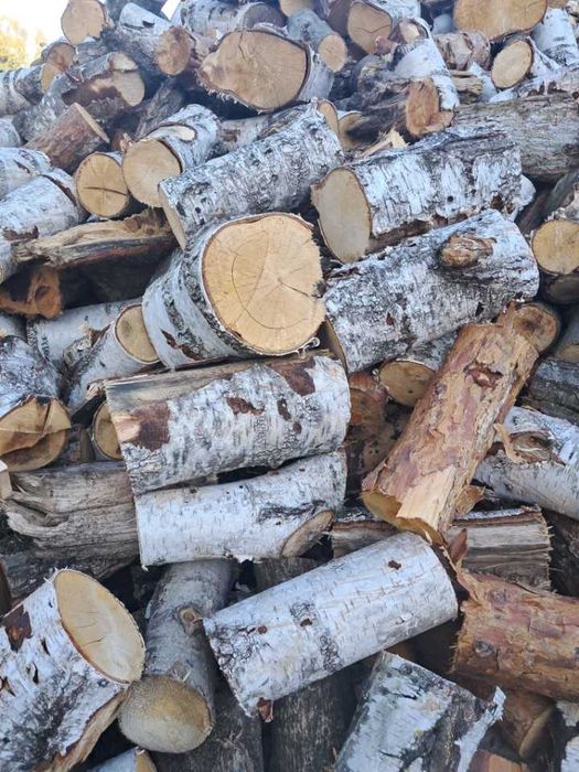 Drzewo,drewno opałowe,opał,kominkowe dąb, brzoza,akacja,sosna