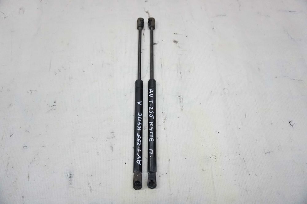 Амортизатор багажника Chevrolet Aveo\Шевроле Авео Т255 Хетчбек