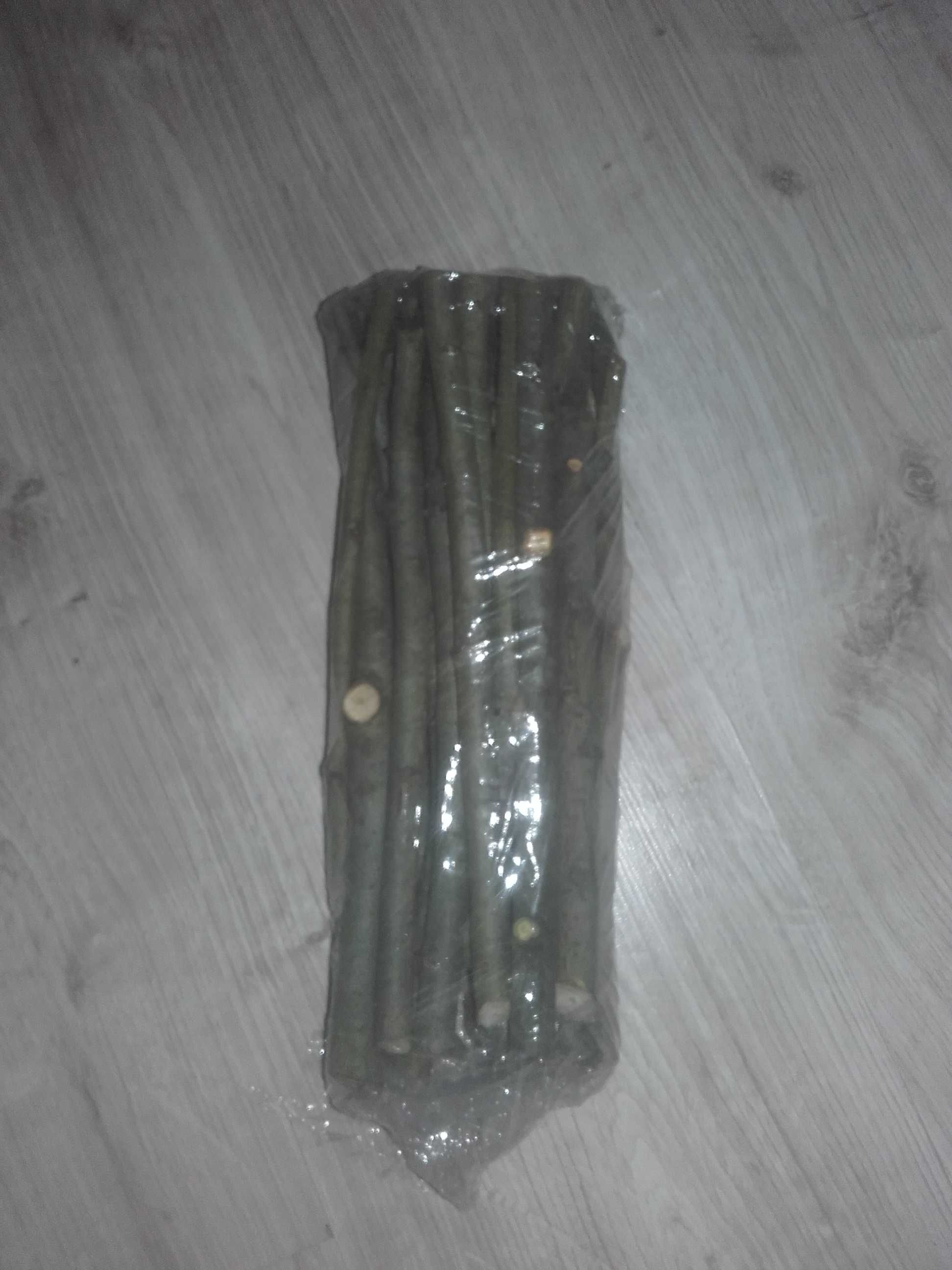 Wierzba Iwa sztobry 20 sztuk
