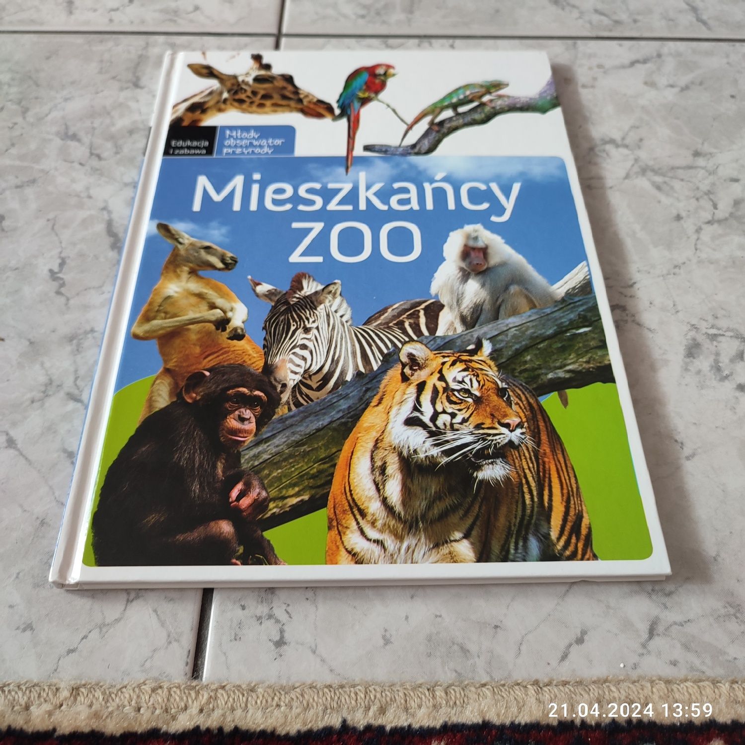 książka Mieszkańcy zoo. Młody obserwator przyrody - praca zbiorowa