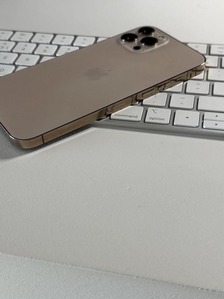 Iphone 12 pro max 256 gb
