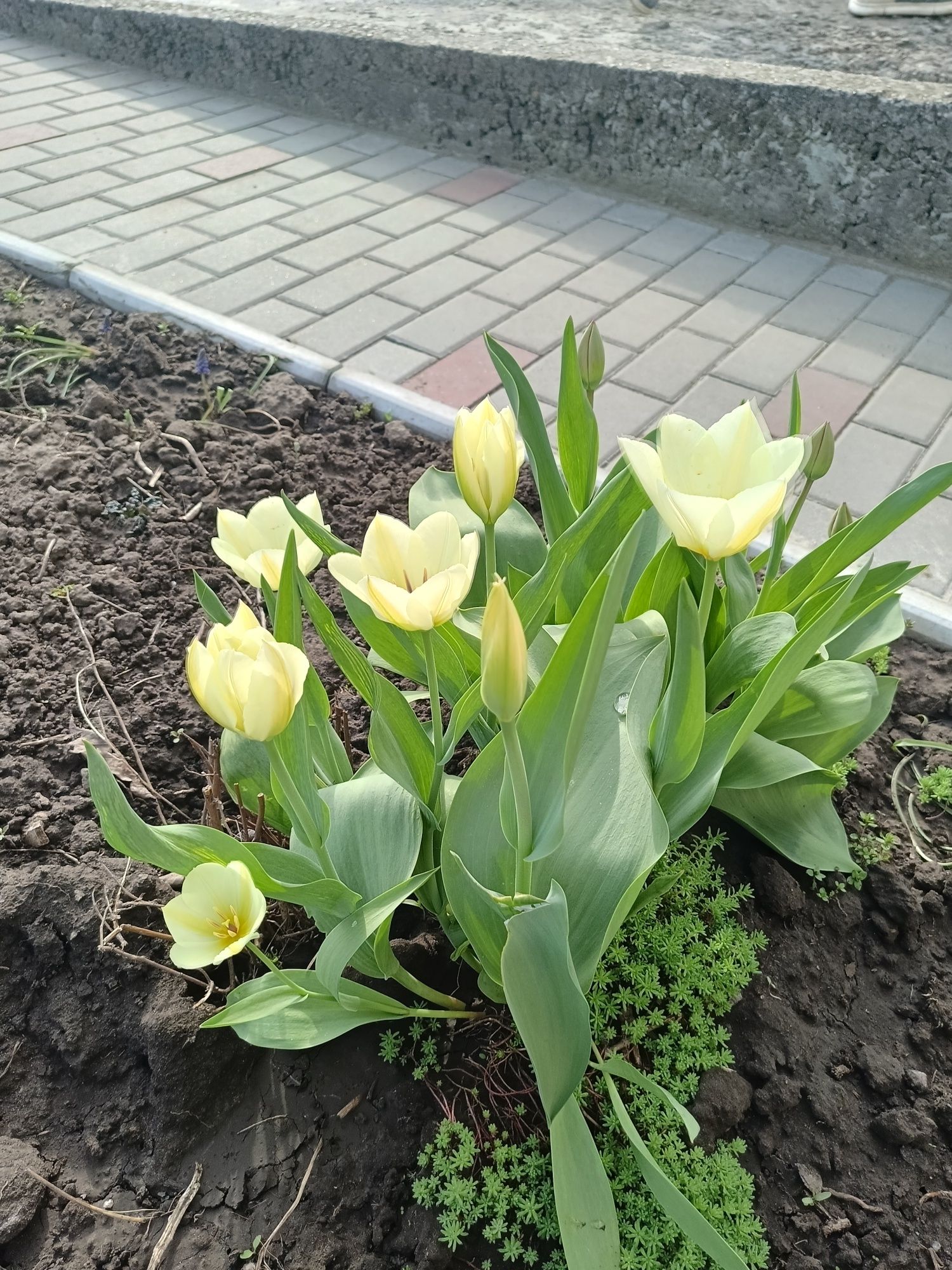 Будинок для гарного відпочинку!