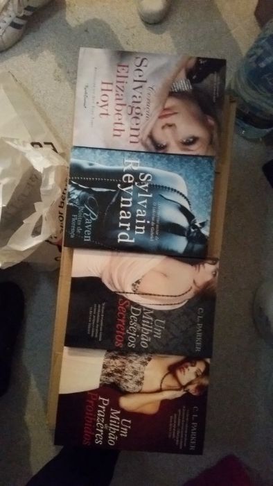 Livros de literatura erotica II