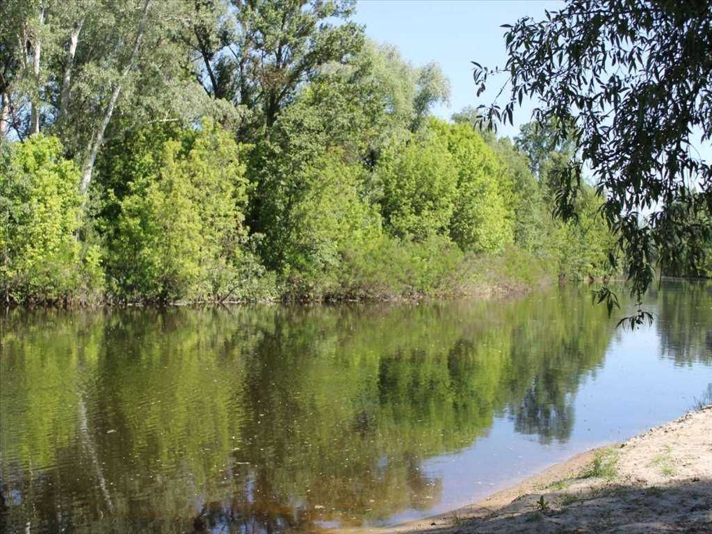 Шикарний маєток у Петрівці за супер вартістю!