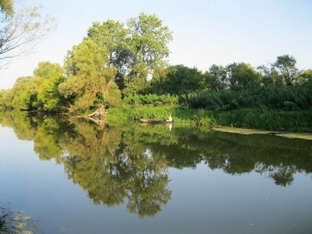 Участок земли под строительство Черкаская обл. Каневский р. Михайловка