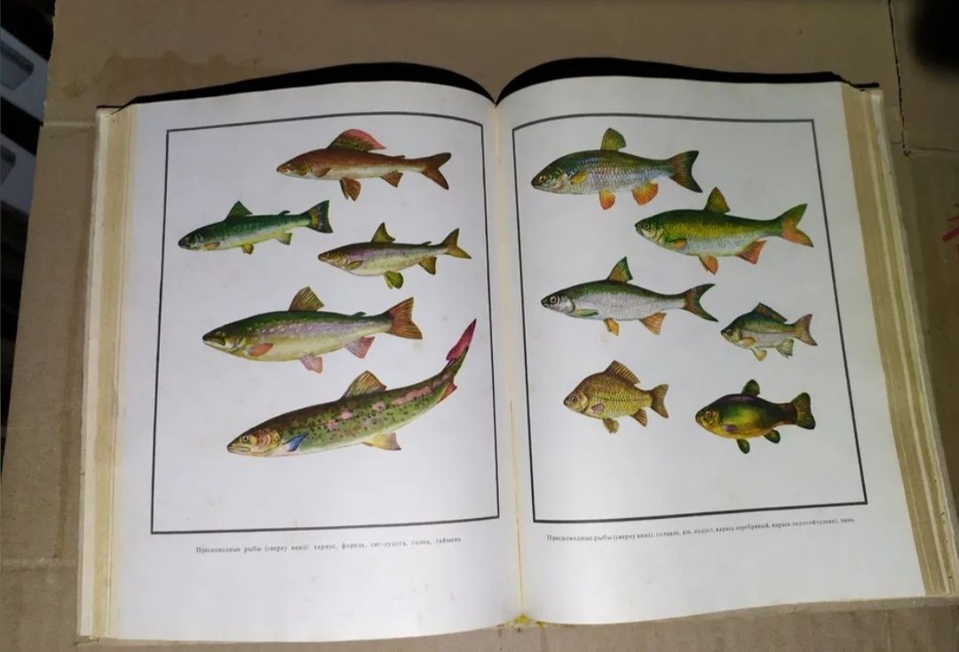 Настольная книга рыболова спортсмена СССР 1971 рыболов спортсмен