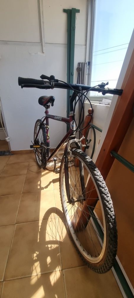 Bicicleta Cattalina