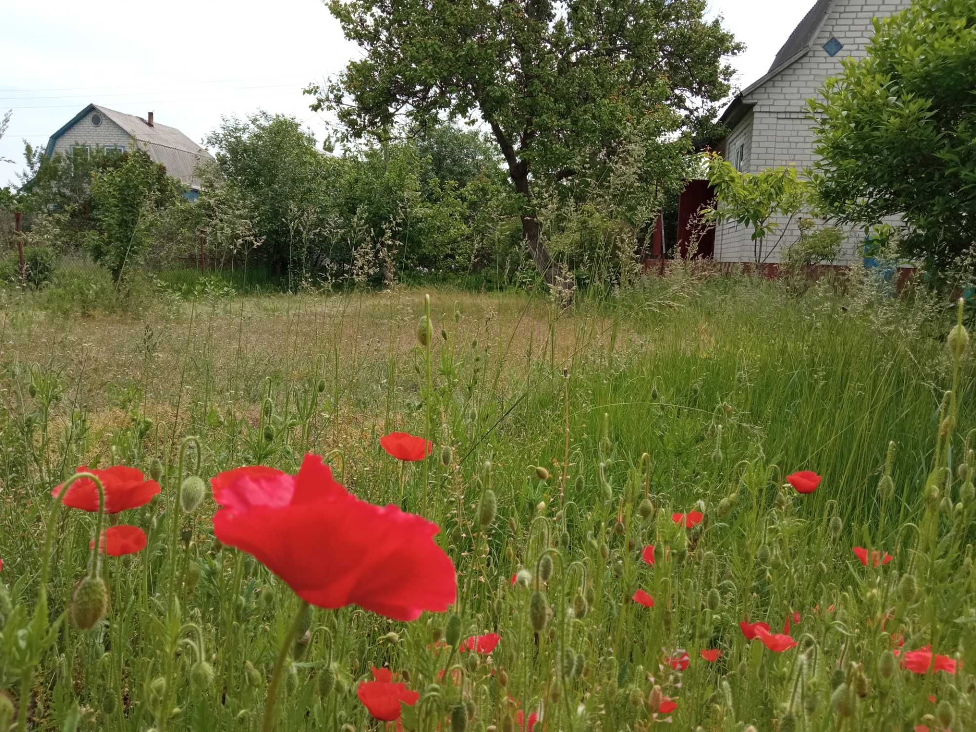 Продам будинок, дачу в СТ Фотон