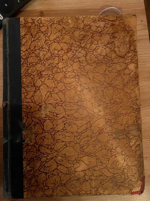 Album biograficzne zasłużonych Polaków i Polek wieku XIX