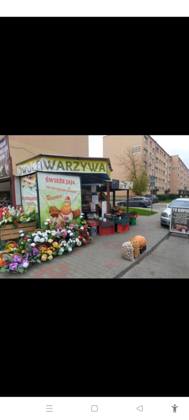 Wynajem pawilonu