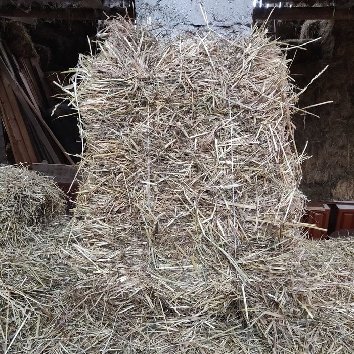 Sprzedam kostki siana