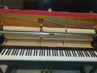 Pianino Euterpe ( Bechstein) z Silent System