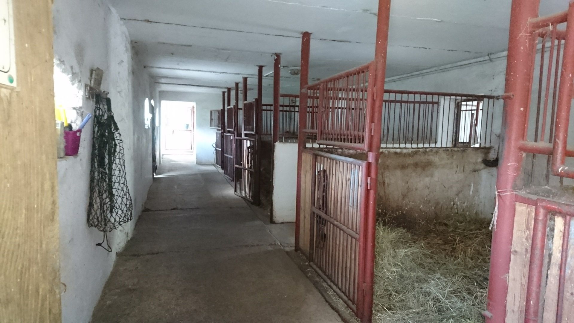 Pensjonat dla koni boksy lub wolny wybieg,  hala 45x22