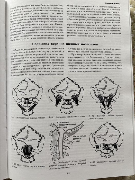 Прикладная кинезиология Девид С.Уолтер