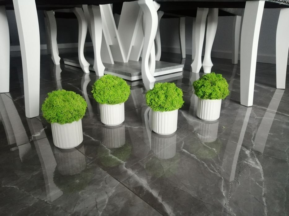 Doniczki 3  z mchem chrobotkiem