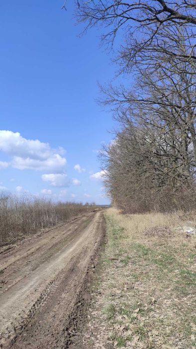 Продам ділянку в Агрономічному 3030