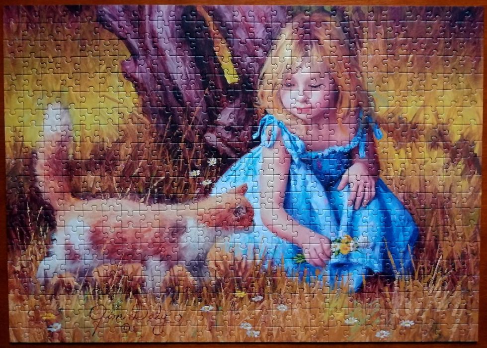 Puzzle TREFL 500 Center of attention - Jim Daly kompletne