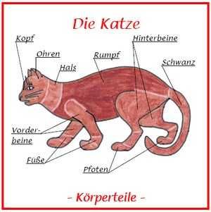 Niemiecki mit Spaß.