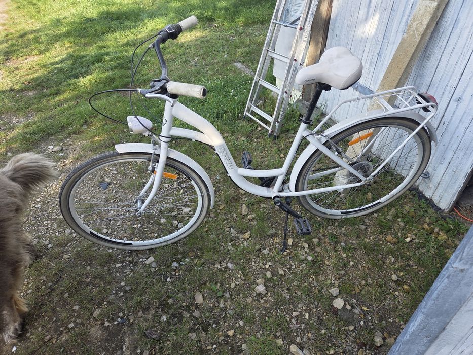 Rower Goetze biały
