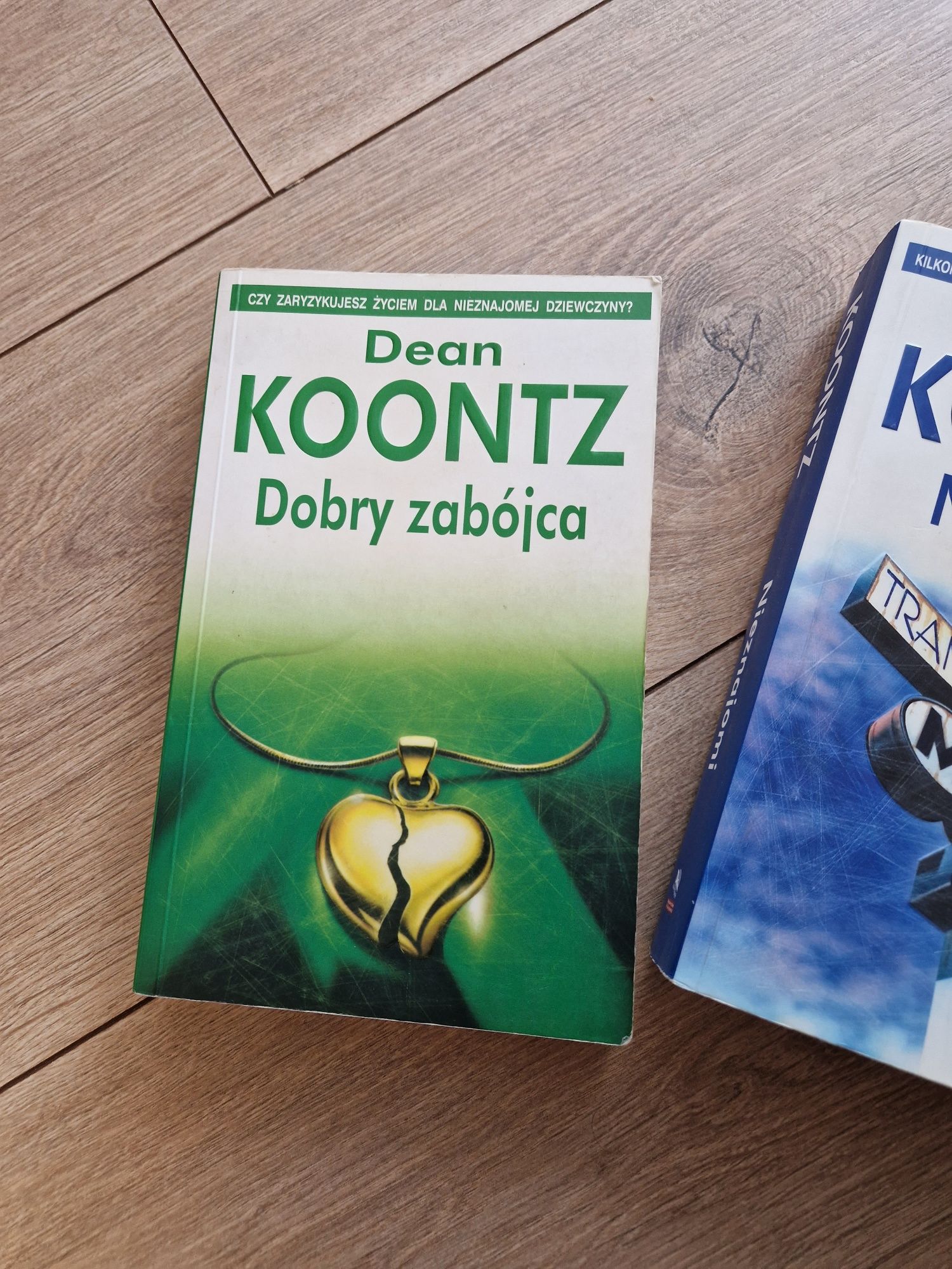 Dean Koontz Dobry zabójca,  nieznajomi