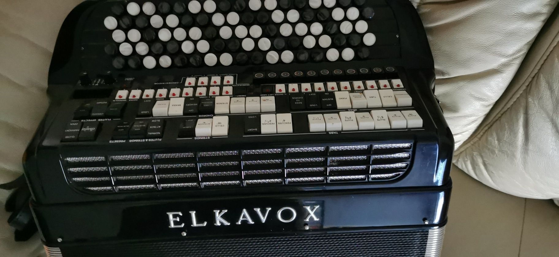 Acordeon(acordeão) elkavox 83