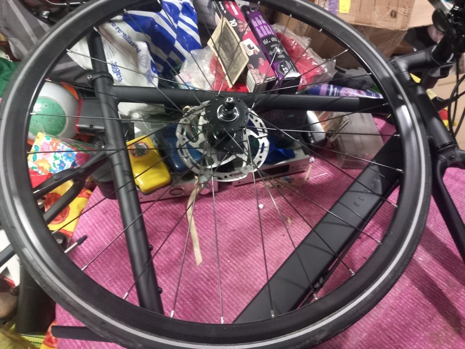 Bicicleta  elops.   ,