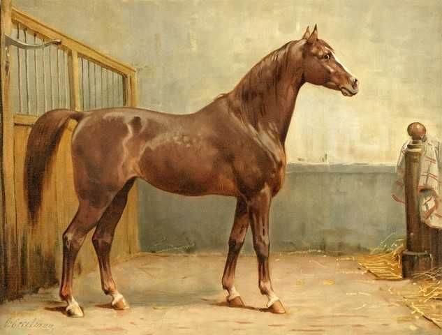 Konie - Rasy -  Jeździectwo  reprint XIX w. grafik