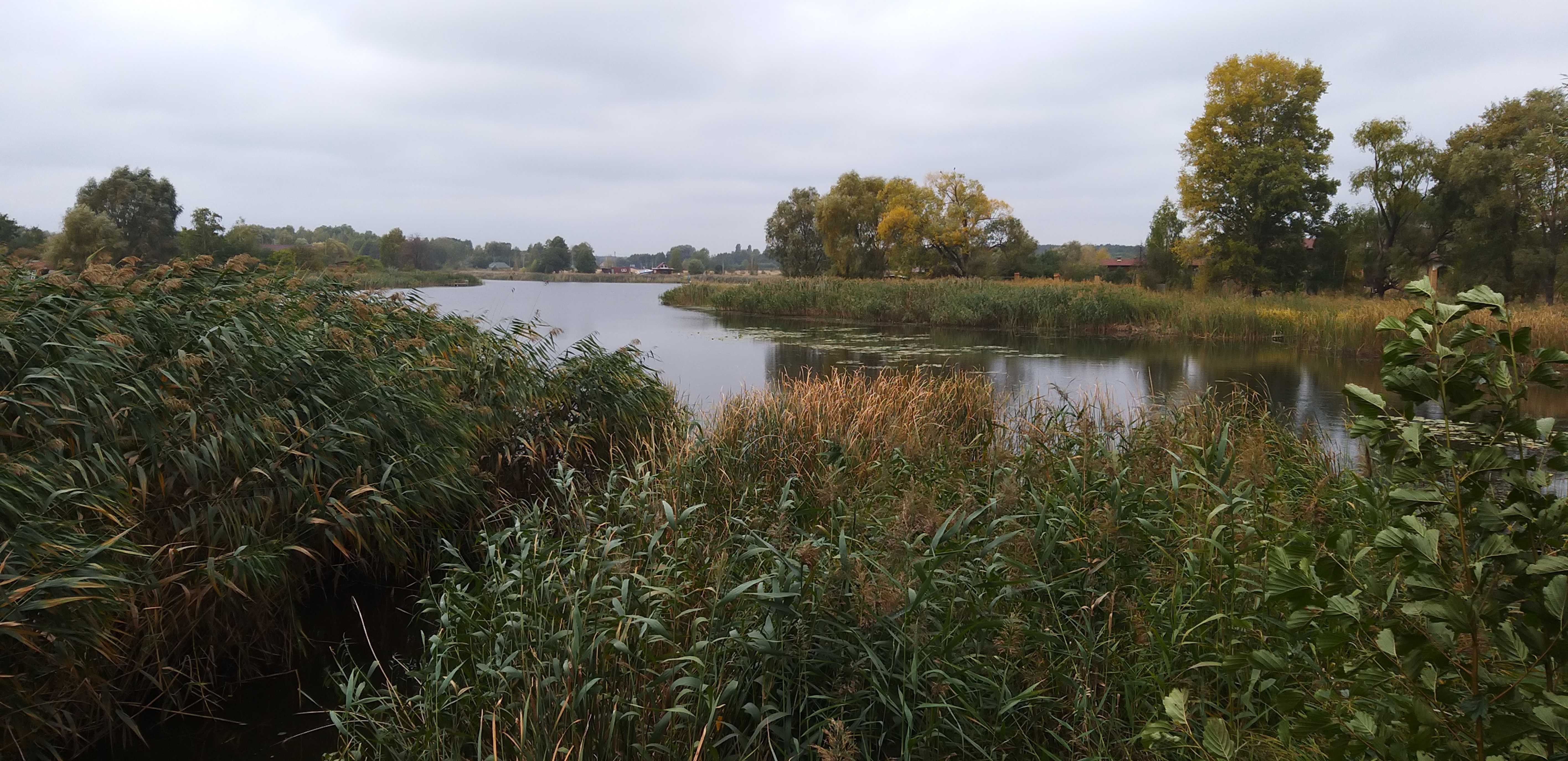 Участок в с. Ясногородка Вышгородского р-на