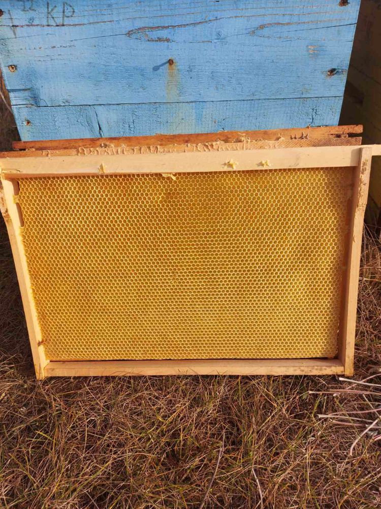 Продам бджолині рамки суш