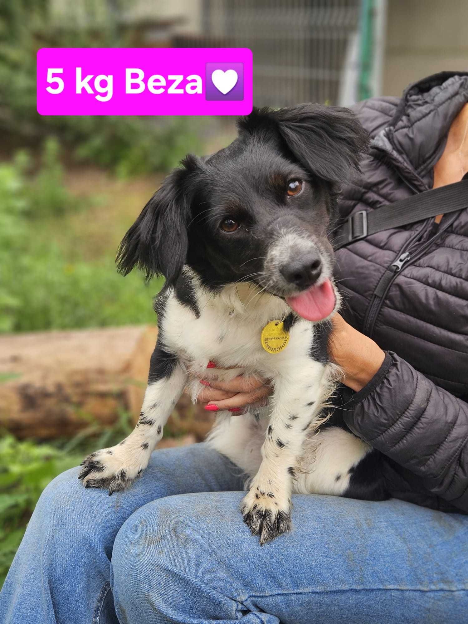 BEZA prosi o serce, które pokocha ją na zawsze