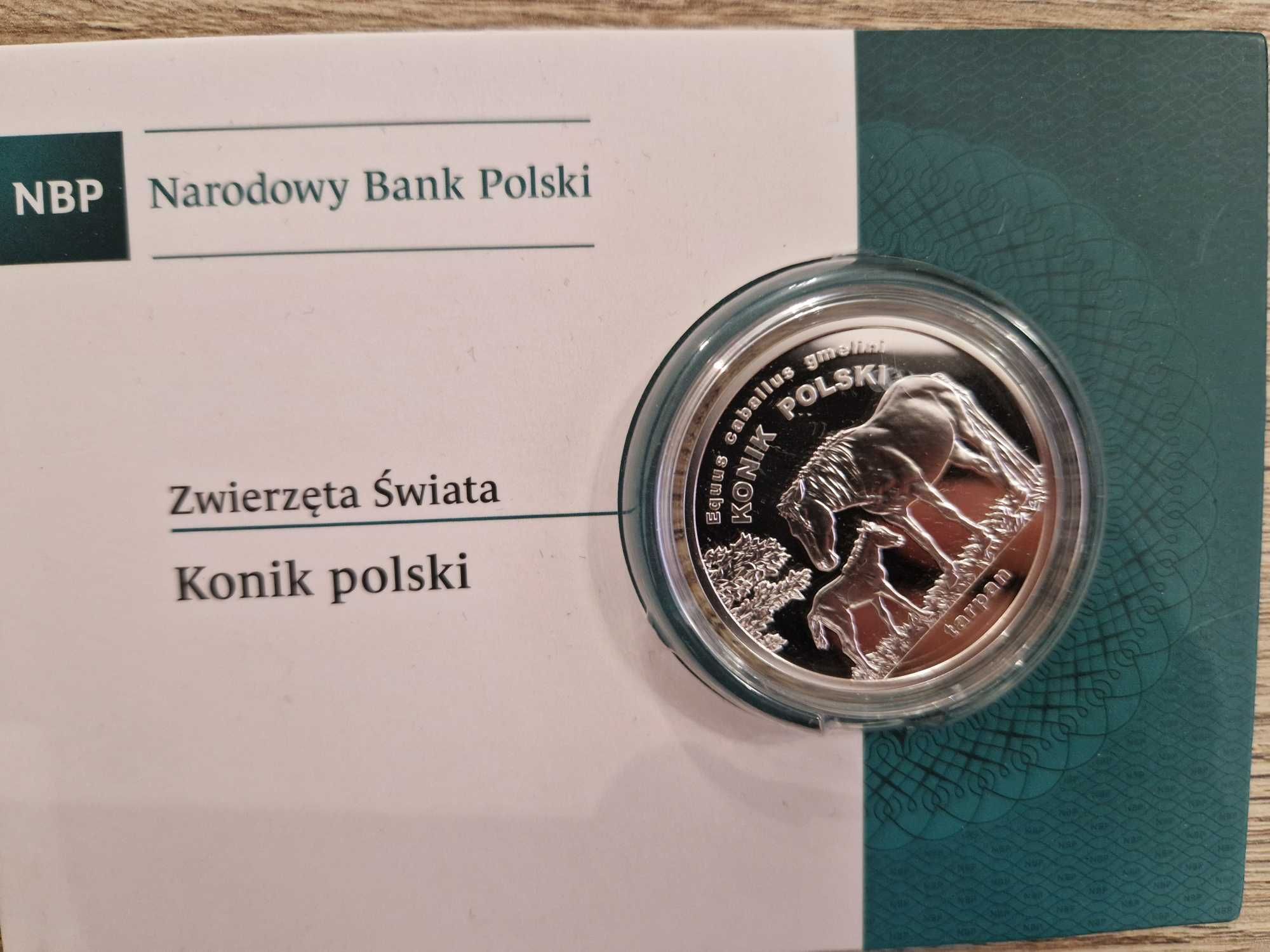 Konik Polski 20 zł 2014 rok  w blistrze