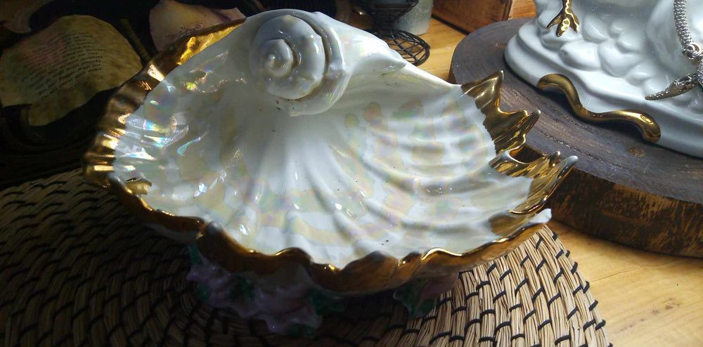 Patera  muszla patera